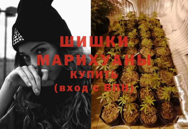 хмурый Лиски