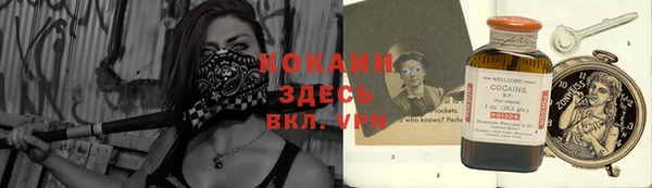 хмурый Лиски