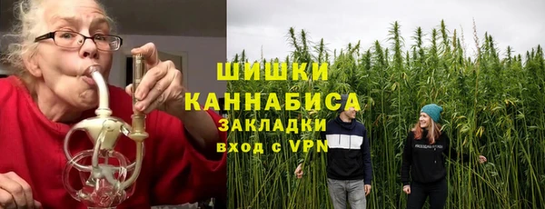 хмурый Лиски