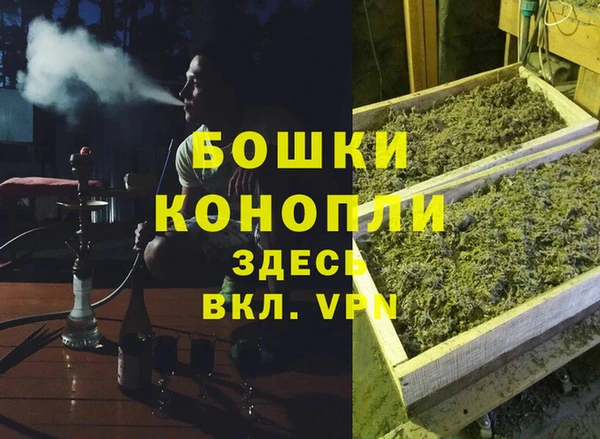 хмурый Лиски