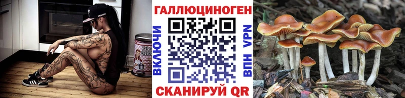 Псилоцибиновые грибы Magic Shrooms  Купить  Арсеньев 